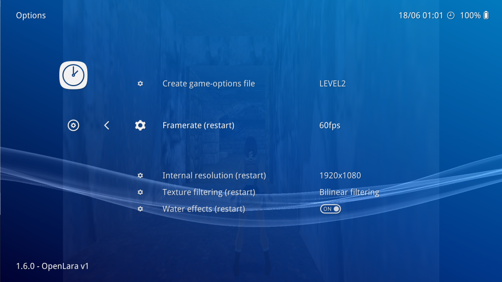 To access these settings, while the game is running, go to the RetroArch menu, and select 'Quick Menu -> Options'.